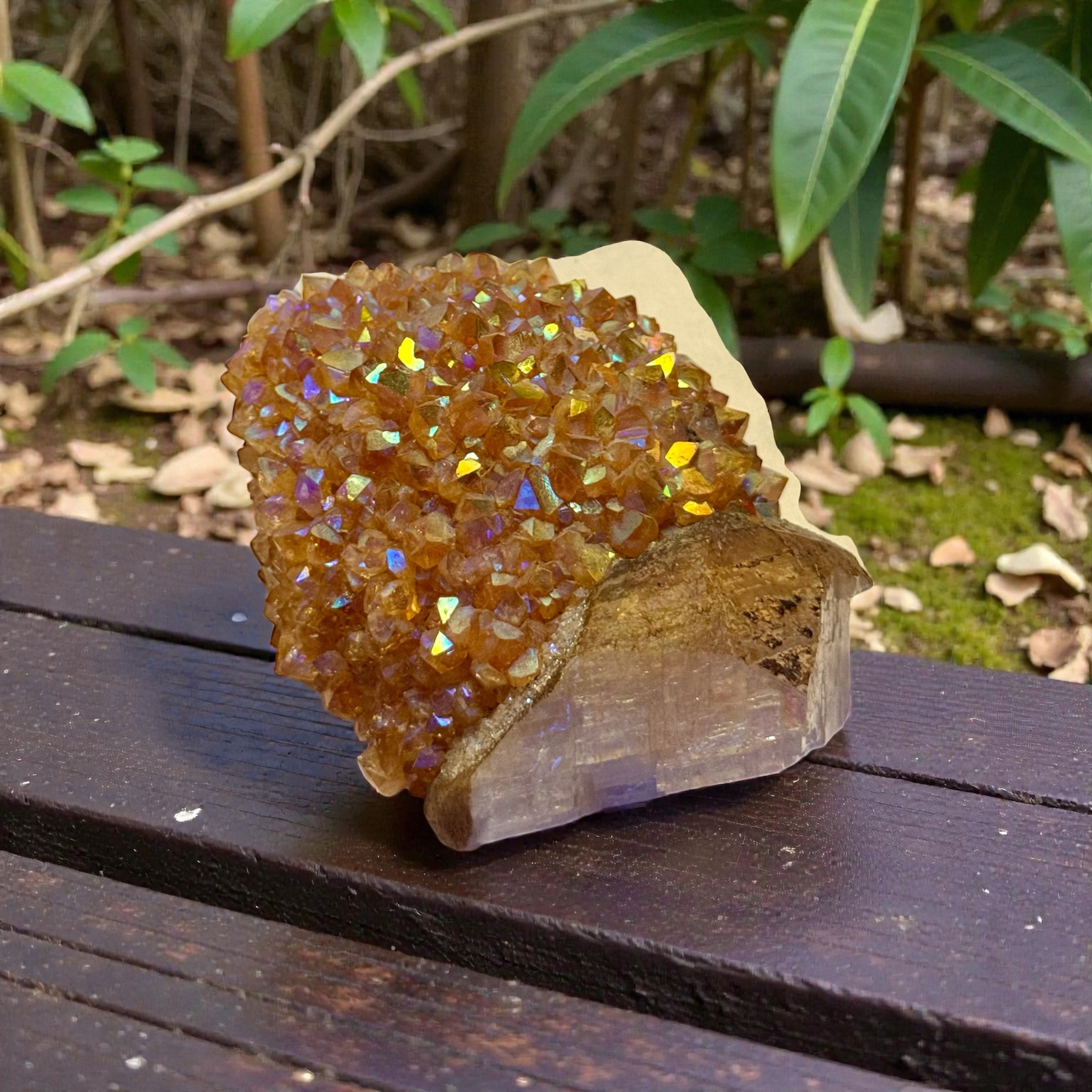 Golden Druzy on Selenite – Luxury Crystal Specimen